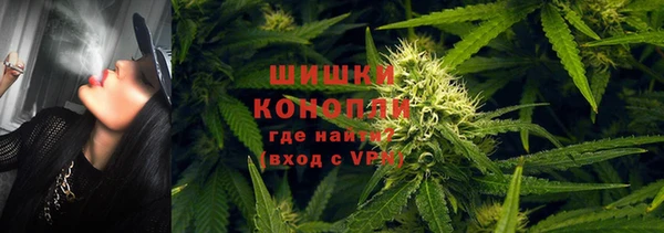 apvp Нягань