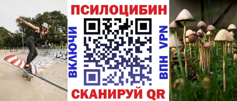 Псилоцибиновые грибы прущие грибы  Кимовск 
